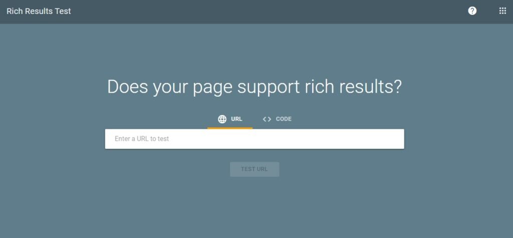 rich result homepage